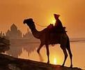 اسم الصورة=Teve.jpg
حجم الملف=3كيلوبايت
الأبعاد=176x144
تاريخ الإضافة=%477 %03, %2006 Teve.jpg