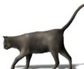اسم الصورة=blackcat.jpg
حجم الملف=2كيلوبايت
الأبعاد=176x144
تاريخ الإضافة=%477 %03, %2006 blackcat.jpg
