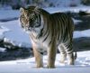 misc_01163.jpg