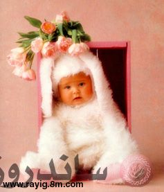bunny_copytr.jpg