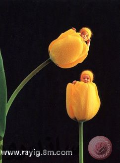 geddes138_copy.jpg