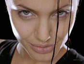 angelina_jolie_030.jpg