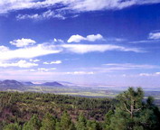 misc_00087.jpg