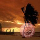 places037.jpg