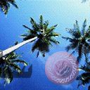 places051.jpg