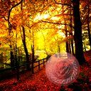 places053.jpg