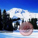 places064.jpg