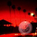 places066.jpg