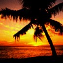 places074.jpg