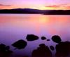 misc_00088.jpg