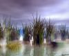 misc_00452.jpg