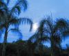 misc_00478.jpg