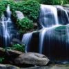places018.jpg