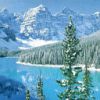 places046.jpg
