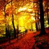 places053.jpg