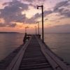places062.jpg