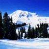places064.jpg