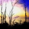places067.jpg