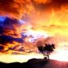 places069.jpg