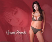 misc_01033.jpg