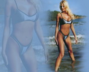 misc_01130.jpg