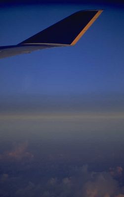 Close up 0387.jpg