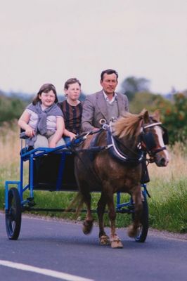 Man and girls on horse drawn cart.jpg