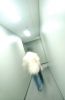 Blur of person walking down white hallway.jpg