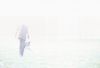 Businessman standing in field with open briefcase 2.jpg