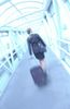 Businesswoman pulling suitcase through glass hallway uid 1284391.jpg