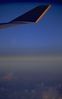Close up 0387.jpg