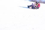 اسم الصورة=Family tobogganing uid 1427146.jpg
حجم الملف=33كيلوبايت
الأبعاد=768x510
تاريخ الإضافة=%047 %28, %2005 Family tobogganing uid 1427146.jpg