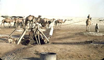 1947_June_20_Drawing_water_well_Ain_Abwab_J_WS.jpg