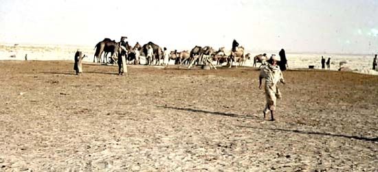 1947_June_20_Bedouins_Ain_AbwabWS_J550.jpg