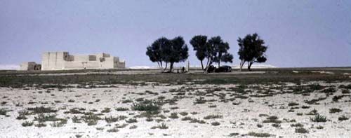 1948_April_3_Araira_VillageWS_JJ.jpg