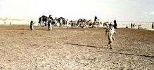 1947_June_20_Bedouins_Ain_AbwabWS_J550.jpg