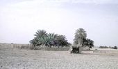 اسم الصورة=1948_March_30_Well_near_JabrinJJ.jpg
حجم الملف=23كيلوبايت
الأبعاد=500x293
تاريخ الإضافة=%440 %05, %2006 1948_March_30_Well_near_JabrinJJ.jpg