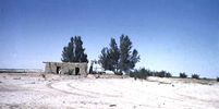 اسم الصورة=1948_Oasis_with_house_and_dog_J.jpg
حجم الملف=21كيلوبايت
الأبعاد=500x248
تاريخ الإضافة=%440 %05, %2006 1948_Oasis_with_house_and_dog_J.jpg
