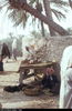 اسم الصورة=4167.jpg
حجم الملف=116كيلوبايت
الأبعاد=416x640
تاريخ الإضافة=%440 %05, %2006 4167.jpg