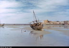 اسم الصورة=43.jpg
حجم الملف=68كيلوبايت
الأبعاد=640x440
تاريخ الإضافة=%440 %05, %2006 43.jpg