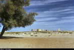 اسم الصورة=50.jpg
حجم الملف=107كيلوبايت
الأبعاد=640x434
تاريخ الإضافة=%440 %05, %2006 50.jpg