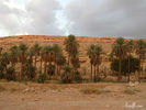 اسم الصورة=azz94.jpg
حجم الملف=98كيلوبايت
الأبعاد=800x600
تاريخ الإضافة=%441 %05, %2006 azz94.jpg